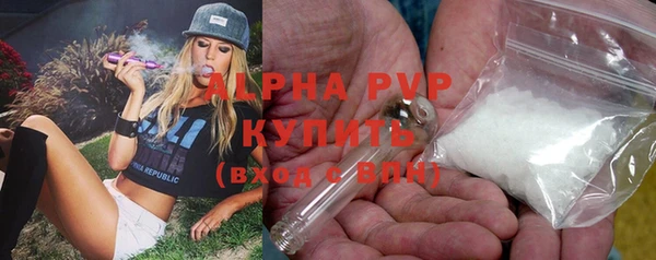 первитин Инта
