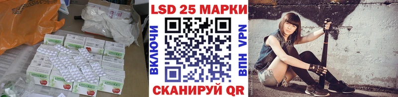Купить закладки  Ветлуга  ЛСД экстази ecstasy 