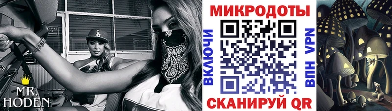 Галлюциногенные грибы Cubensis  Купить закладки  Ветлуга 